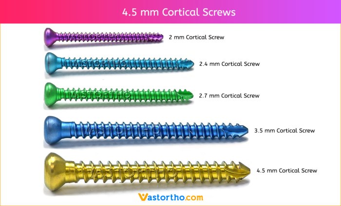 Cancellous cortical screws bunionectomy