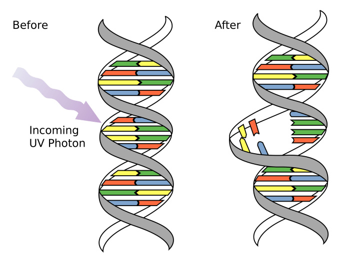 Generation fifth epigenetics genetic scientist topmost began enhancements commonplace level