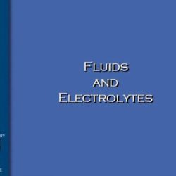 Balance fluid electrolyte electrolytes volume homeostasis potassium chart sodium ecf acid base nursing mind water body respiratory blood fluids physiology