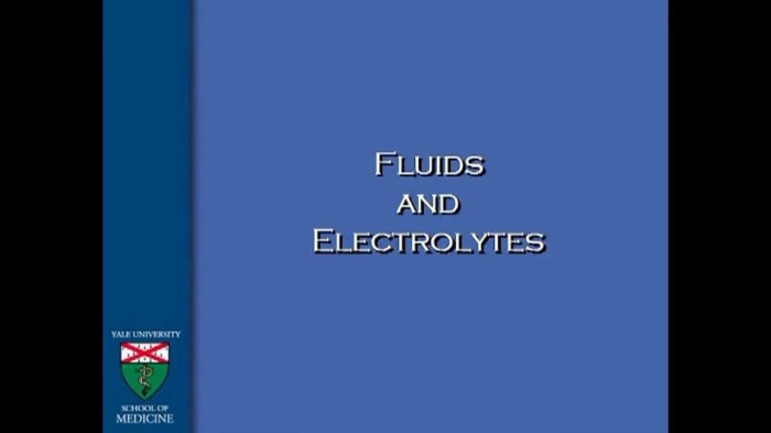 Balance fluid electrolyte electrolytes volume homeostasis potassium chart sodium ecf acid base nursing mind water body respiratory blood fluids physiology