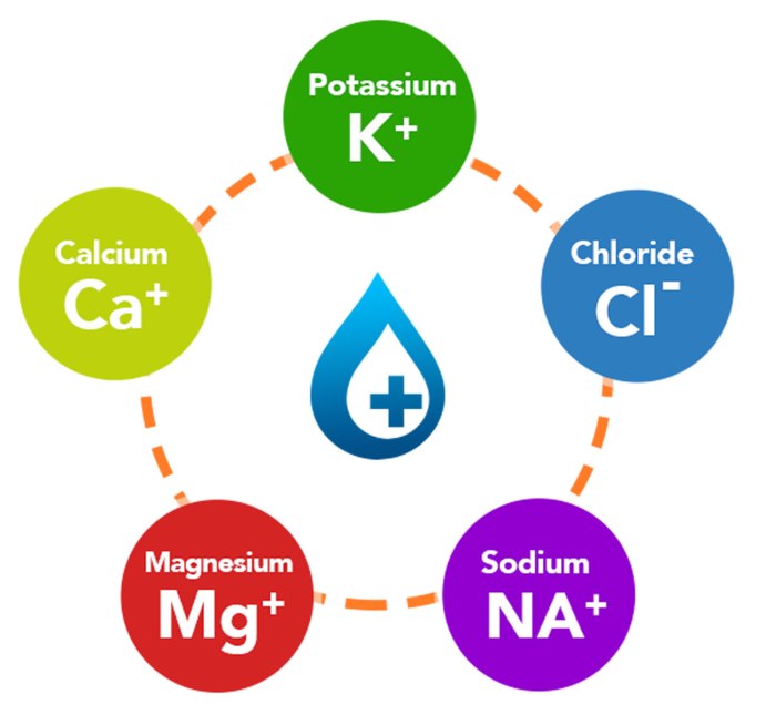 Kaplan fluid and electrolytes a ngn