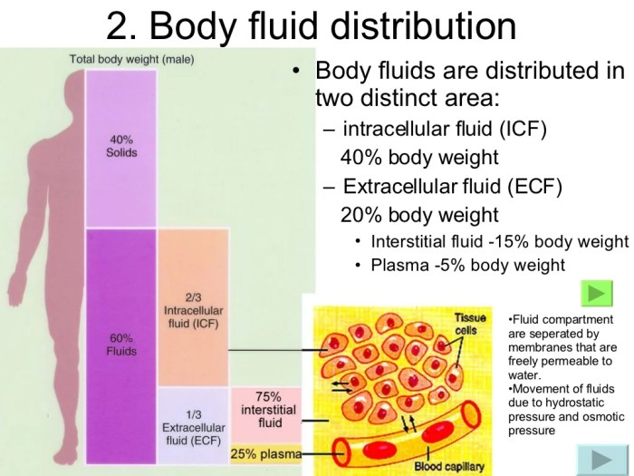 Kaplan fluid and electrolytes a ngn