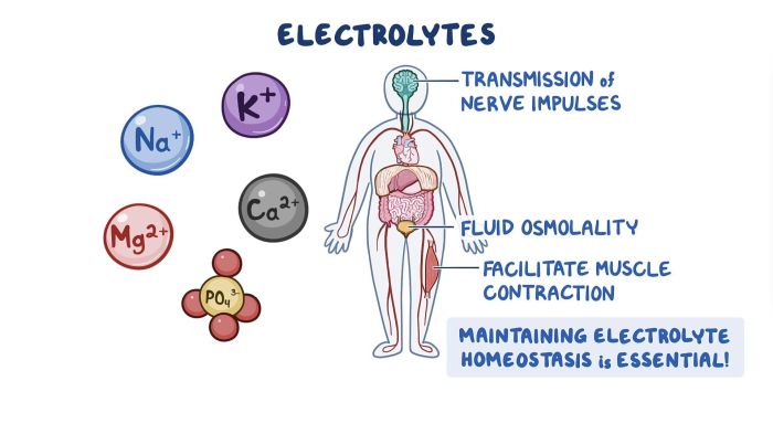 Kaplan fluid and electrolytes a ngn