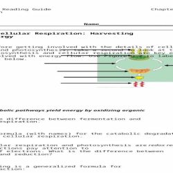 Ap biology reading guide chapter 9 answers