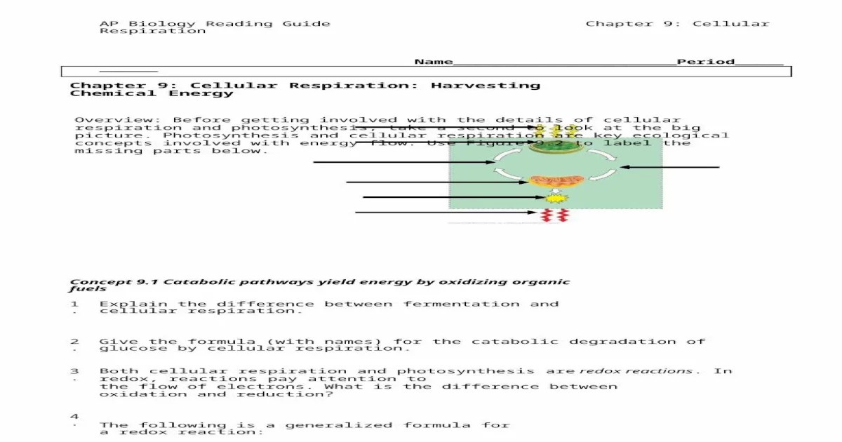 Ap biology reading guide chapter 9 answers