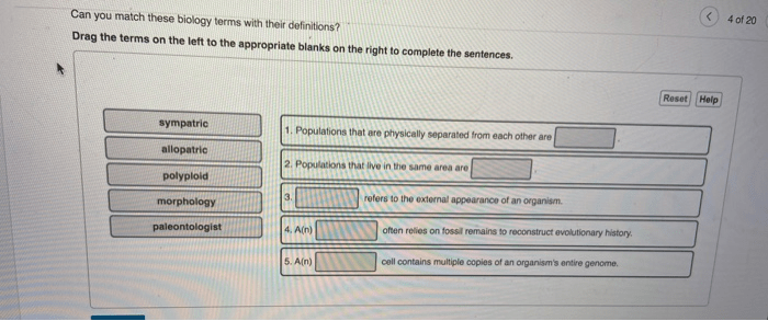 Drag the terms on the left to the appropriate blanks