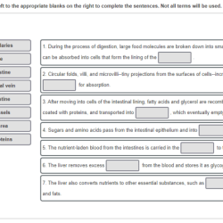 Terms drag left complete appropriate blanks right parta sentences homeworklib process