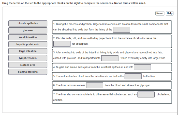 Terms drag left complete appropriate blanks right parta sentences homeworklib process